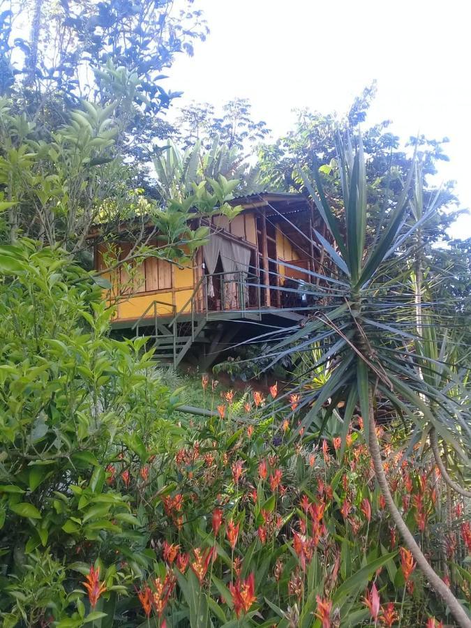 Sonarte Reserva Natural Кордоба Экстерьер фото