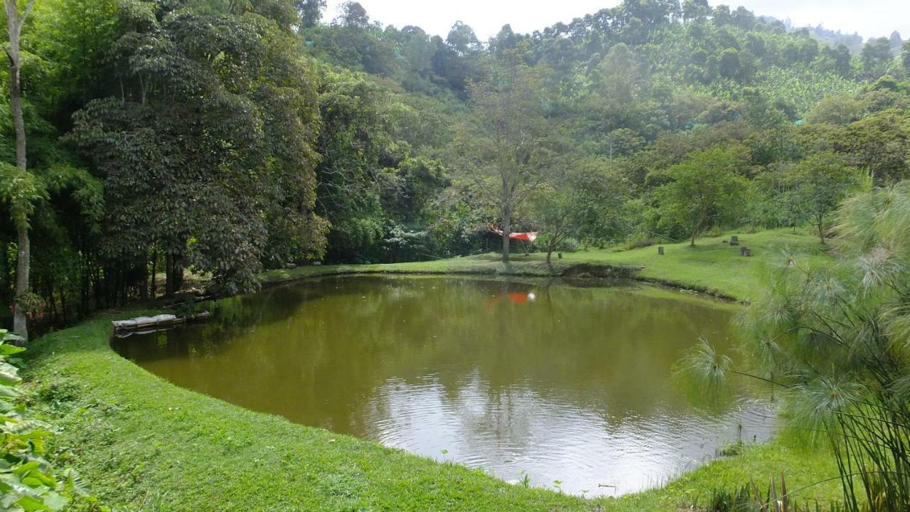 Sonarte Reserva Natural Кордоба Экстерьер фото