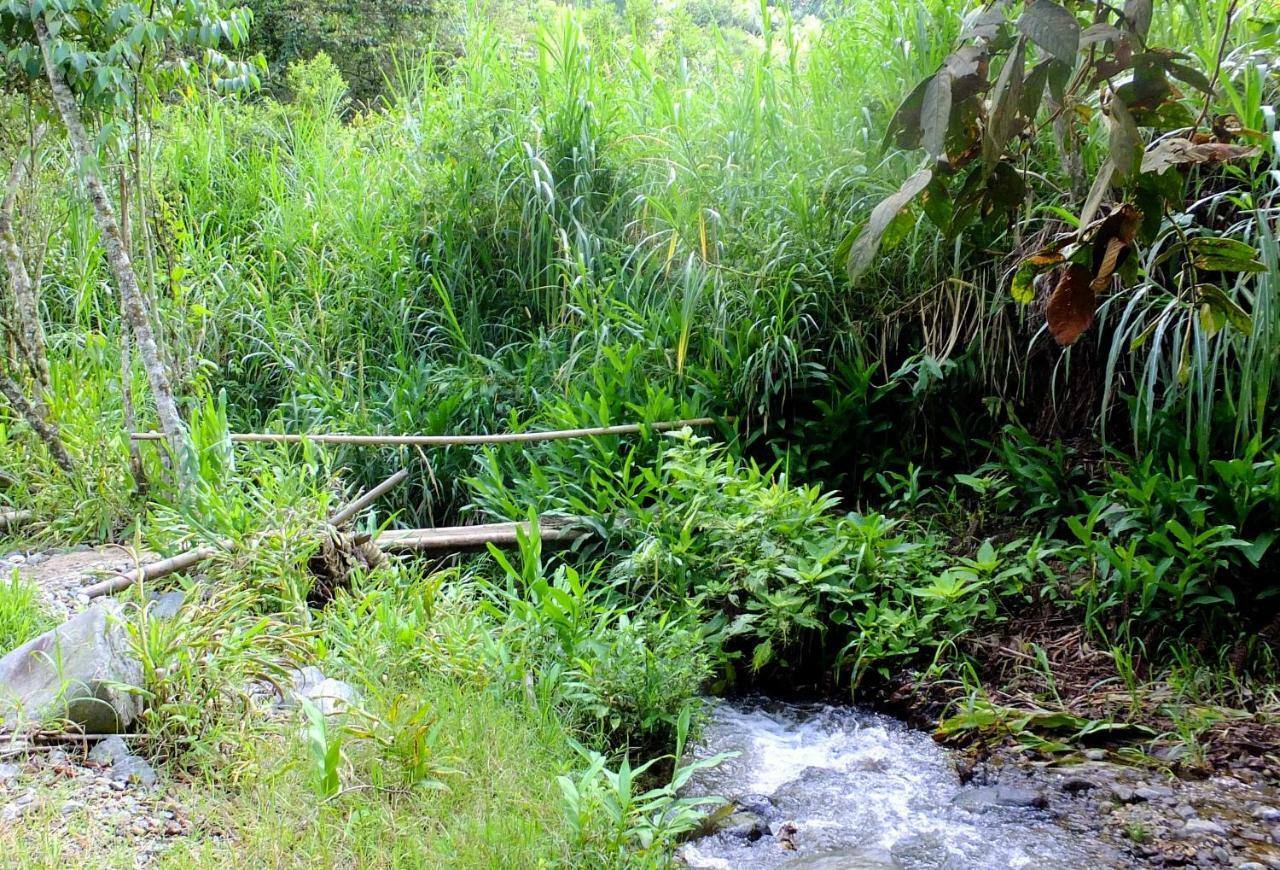 Sonarte Reserva Natural Кордоба Экстерьер фото